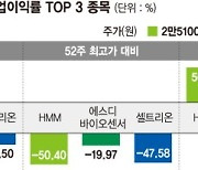 HMM·SD바센·셀트리온, 영업이익률 TOP3인데 주가 반토막