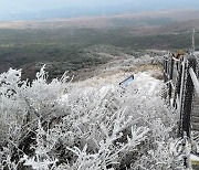 제주도 산지에 대설주의보