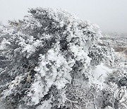 제주도 산지에 대설주의보