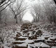 가을에서 겨울로