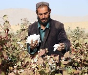 AFGHANISTAN CRISIS AGRICULTURE