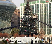 서울광장에 설치되는 크리스마스 트리