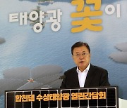 文, '전두환 고향' 합천댐 태양광 시찰.."첫 '태양광 연금' 될 것"