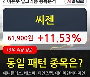 씨젠, 전일대비 11.53% 상승중.. 최근 주가 반등 흐름