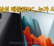 "아이패드 사지, 삼성 태블릿 누가 사나?" 삼성의 고민