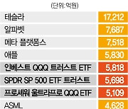 테슬라 1.7조 vs  ETF 1.6조..'서학개미 최애주' 불꽃 경쟁