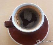 "커피, 인지기능 저하 억제"