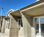 CHINA-HEBEI-3D PRINTING-HOUSE (CN)