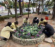 부산 수영구, 바다누리·남치이 쌈지공원 겨울초화식재 행사