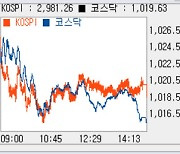 [코스피 마감]기관 사흘째 순매도 랠리..'2980선'