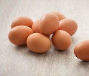 중년에 좋은 '달걀·시금치' 조합.. 뜻밖의 몸 변화는?