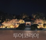 강릉 커피축제기간 오죽헌·시립박물관 저녁 8시까지 연장 운영
