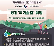 정책브리핑·산림청과 함께하는 6대 국가숲길 ③ DMZ펀치볼둘레길