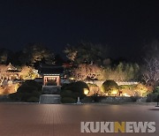 강릉 커피축제 기간 오죽헌·시립박물관 야간운영