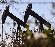 WSJ "비축유 방출에 OPEC+, 원유 증산 중단 검토"