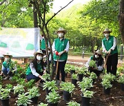 스타벅스, 친환경 캠페인으로 조성한 '서울숲 속 쉼터' 공개