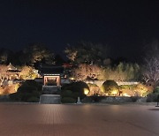 강릉시, 커피축제기간 오죽헌·시립박물관 야간운영