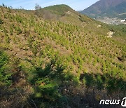 고창군, 전북도 2021년 숲가꾸기 사업 우수기관 선정