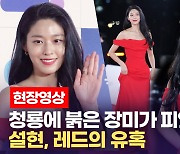 [영상] 설현(Seol-hyun), 오랜만에 나들이 나왔어요~..빨간드레스에 드러나는 뒤태
