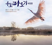 [창녕소식] 군, 창녕 품으로 돌아온 우포따오기 사진전시회 개최