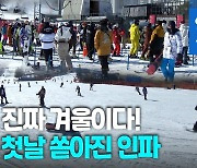 [영상] '반갑다 스키야'..용평리조트 스키장 오픈