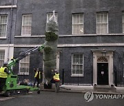 Britain Downing Street Christmas Tree