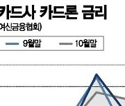 '카드론' 금리도 오른다.."서민·자영업자, 어디서 돈 빌리나"