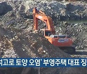 '폐석고로 토양 오염' 부영주택 대표 징역형