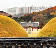 김포 장릉 근처 아파트 이어 공원 철거 위기..주민들 '반발'