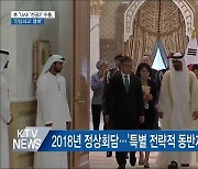 靑 "UAE '천궁2' 수출..'진심외교' 열매"