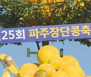 임진각 가득 채운 구수한 향..파주 장단콩 축제