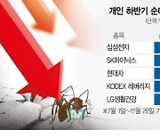 대형주 담은 개인 '울상'..중소형주 산 외인 '방긋'