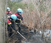 대전 대별동에 불..식장산 번지기 전 진화