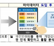 '마이데이터' 전면 시행 앞두고..오는 1일부터 시범 서비스 시행