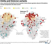 오미크론 3D 이미지 첫 공개..돌연변이 상부에 집중