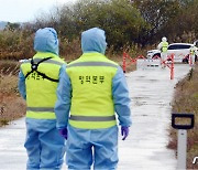 전남도 '고병원성 AI 위험주의보' 발령..내달 26일까지