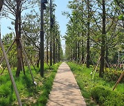 산림청, 인천 수인선 '도시바람길숲' 준공..옛 철길 따라 1.5km