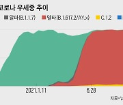 끝없는 변이 왜?.. "나뭇가지가 장애물 뚫고 뻗는 원리"