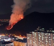 부산 북구 야산에서 불.. 소방 "큰 불길 잡혀"