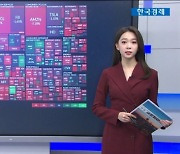 11월 29일 미국증시 특징주..오미크론 쇼크에 여행항공주 타격