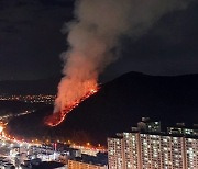 부산 아파트 인근 야산서 원인불명 화재..소방당국 "큰 불길 잡아"