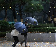 내일 강한 바람 동반한 전국 강수..천둥·번개도