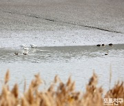 [포토친구] 순천만 소경