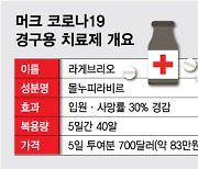 먹는 코로나藥 게임체인저 기대 낮아졌지만, 승인 '전망'..이유는