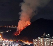 부산 북구 덕천동 야산 불