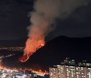 부산 덕천동 아파트 인근 야산에서 산불..인명피해 없어