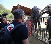 PAKISTAN ANIMALS ELEPHANT