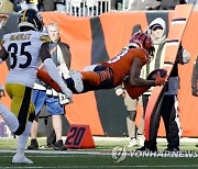 Steelers Bengals Football