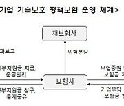 중기부, 中企 기술분쟁 비용 지원하는 보험 내년에 도입