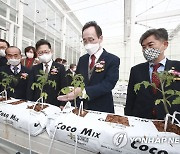 스마트팜 혁신 밸리 둘러보는 김현수 장관